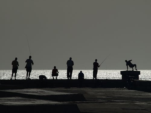Free stock photo of embankment, fishing, men fishing