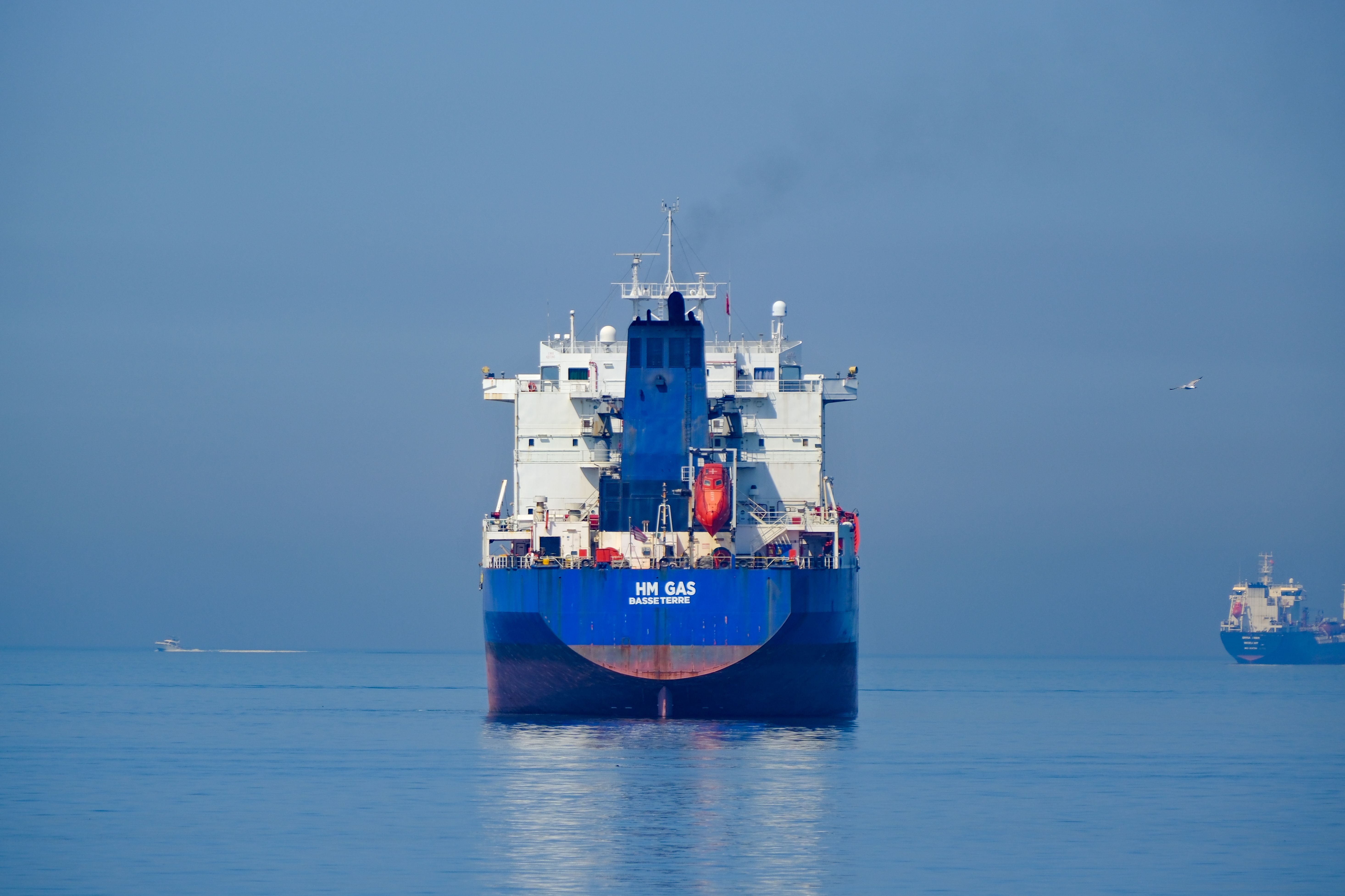 A large blue cargo ship cruising on calm ocean waters under a clear blue sky.