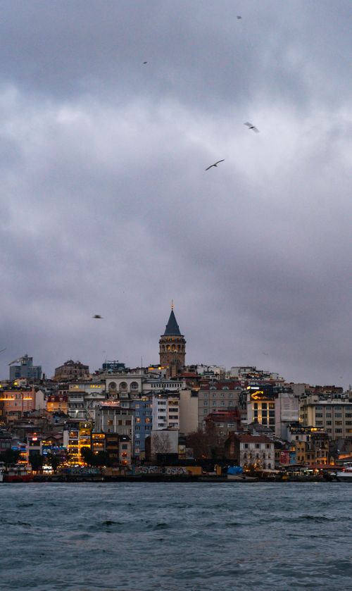 Free View of Galata Tower amidst Istanbul's skyline as dusk falls, with cloudy skies and birds flying. Stock Photo