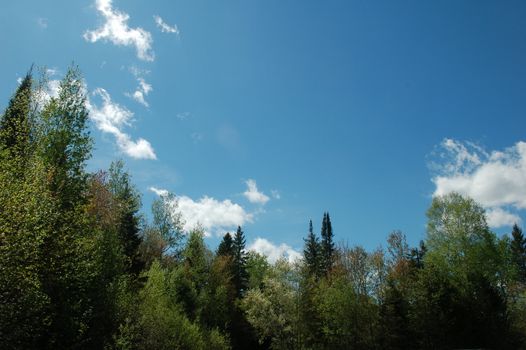 'Show Us the Money': Ford Demands Federal Cash for Ontario's Ring of Fire