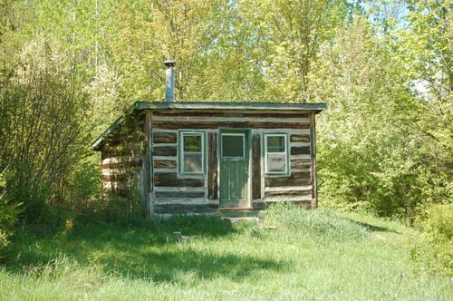 Free A charming rustic cabin nestled in vibrant greenery of Combermere, Ontario. Stock Photo