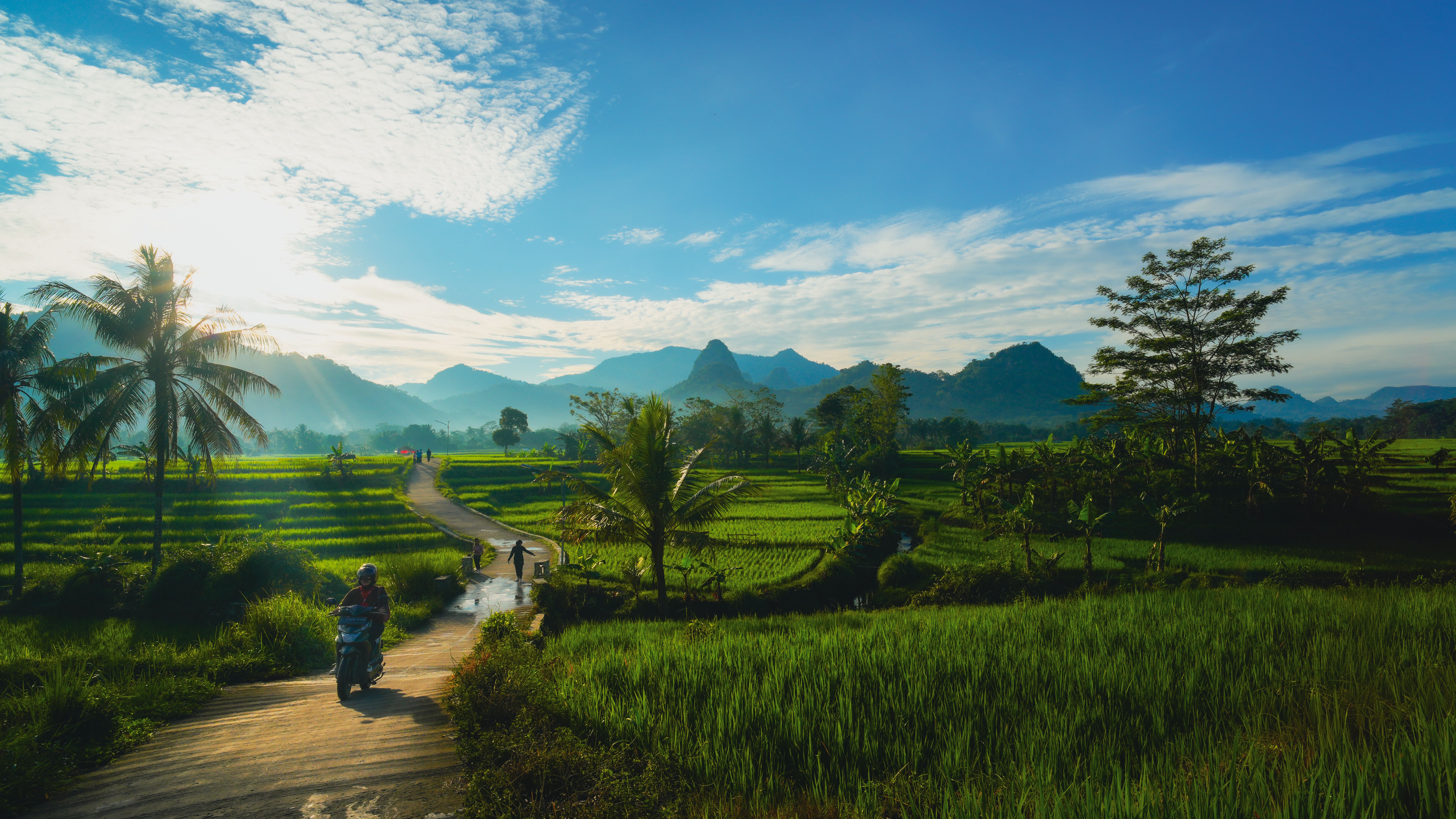 7 Day Pure Yoga Wellness Escape Retreat in Bali Indonesia 3