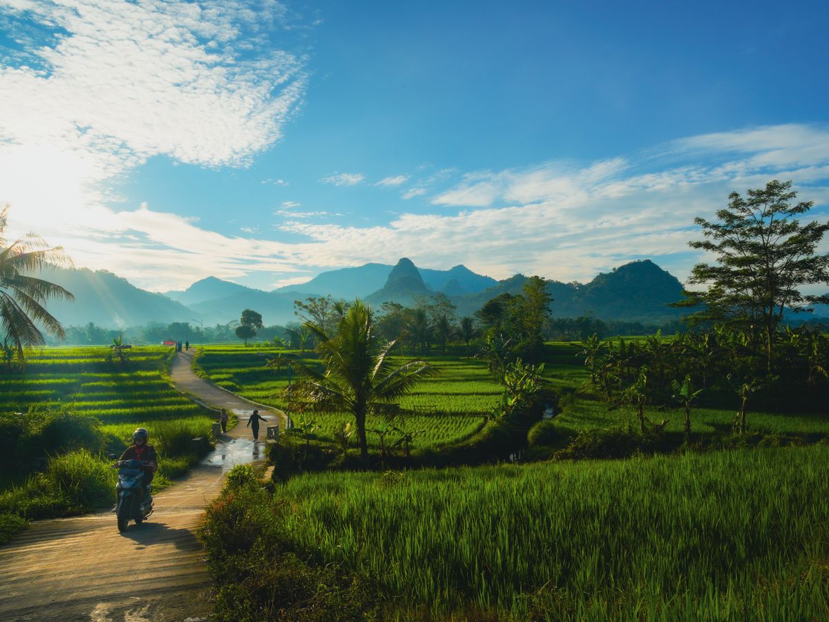7 Day Pure Yoga Wellness Escape Retreat in Bali Indonesia 3