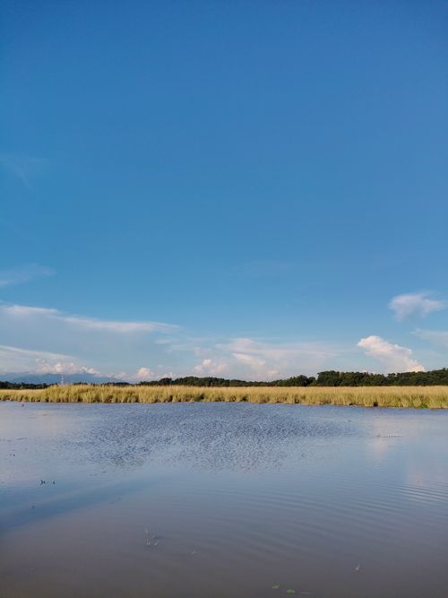 Free Peaceful lakeside landscape in Silchar, India featuring clear blue skies and serene water reflections. Stock Photo