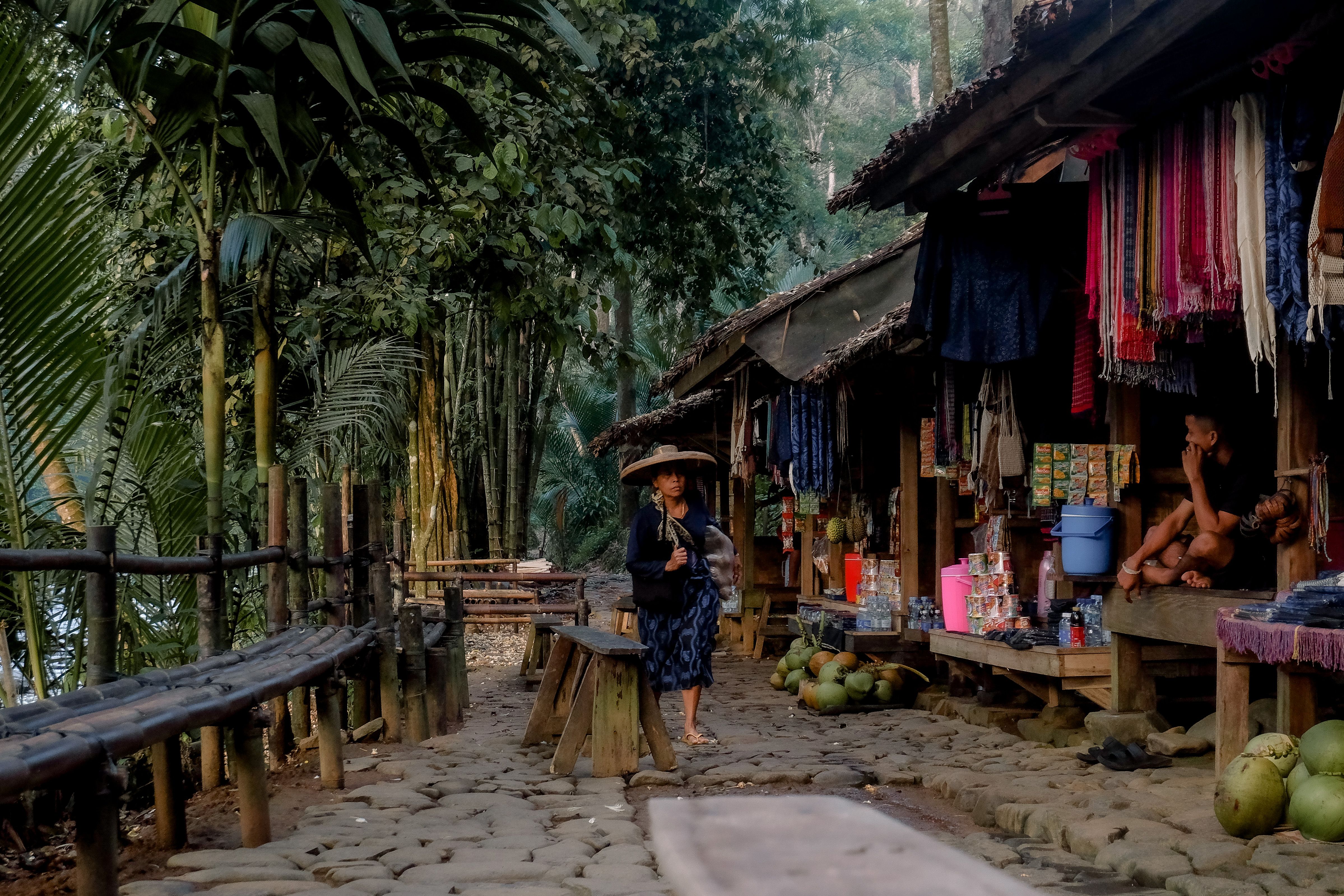 Capture of a bustling village market in a lush tropical setting, showcasing local life.