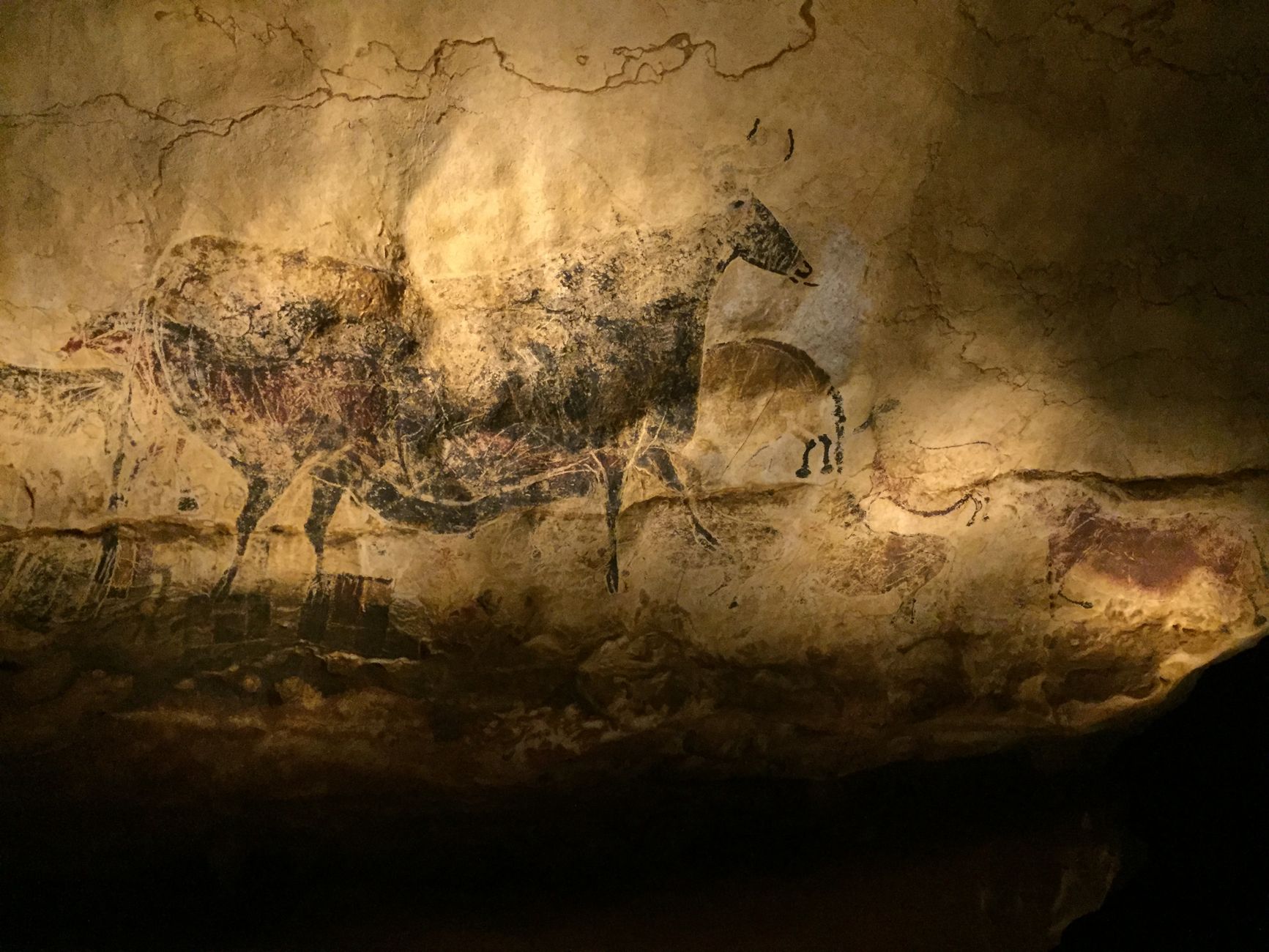 Ouderdom Limburgse Neanderthaler-sporen mogelijk 350 duizend jaar