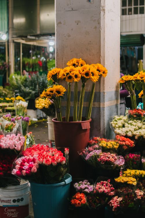 Free Colorful flowers at a bustling market in Ciudad de México, showcasing diverse blooms and lively atmosphere. Stock Photo
