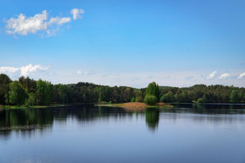 Free Peaceful lake and forest landscape under a bright blue sky during the day. Stock Photo