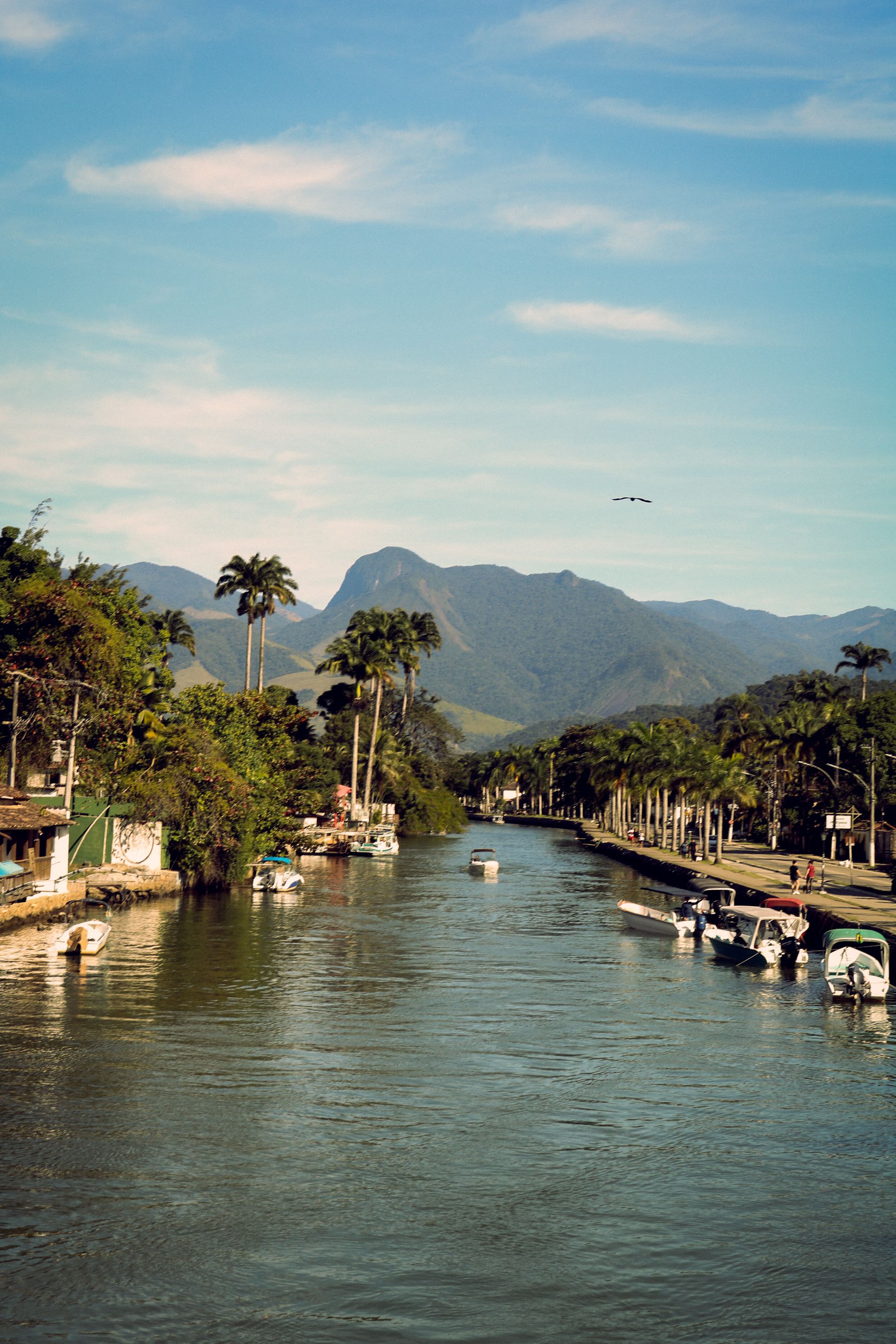 A tranquil summer view of a canal in Rio de Janeiro, surrounded by lush greenery and boats.