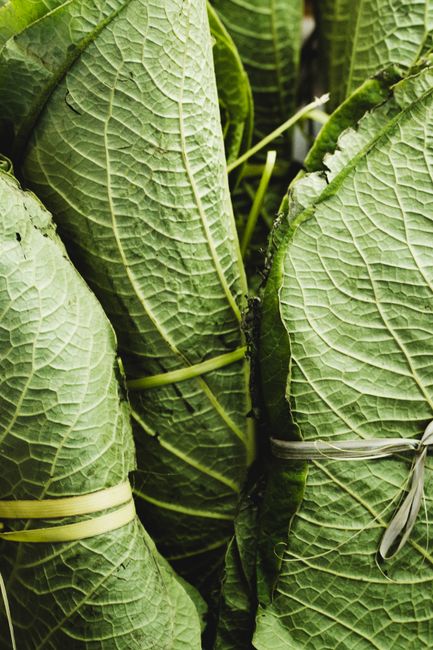 Large heart-shaped hoja santa leaves with prominent veins stacked on a wooden board beside a bowl of green mole sauce.