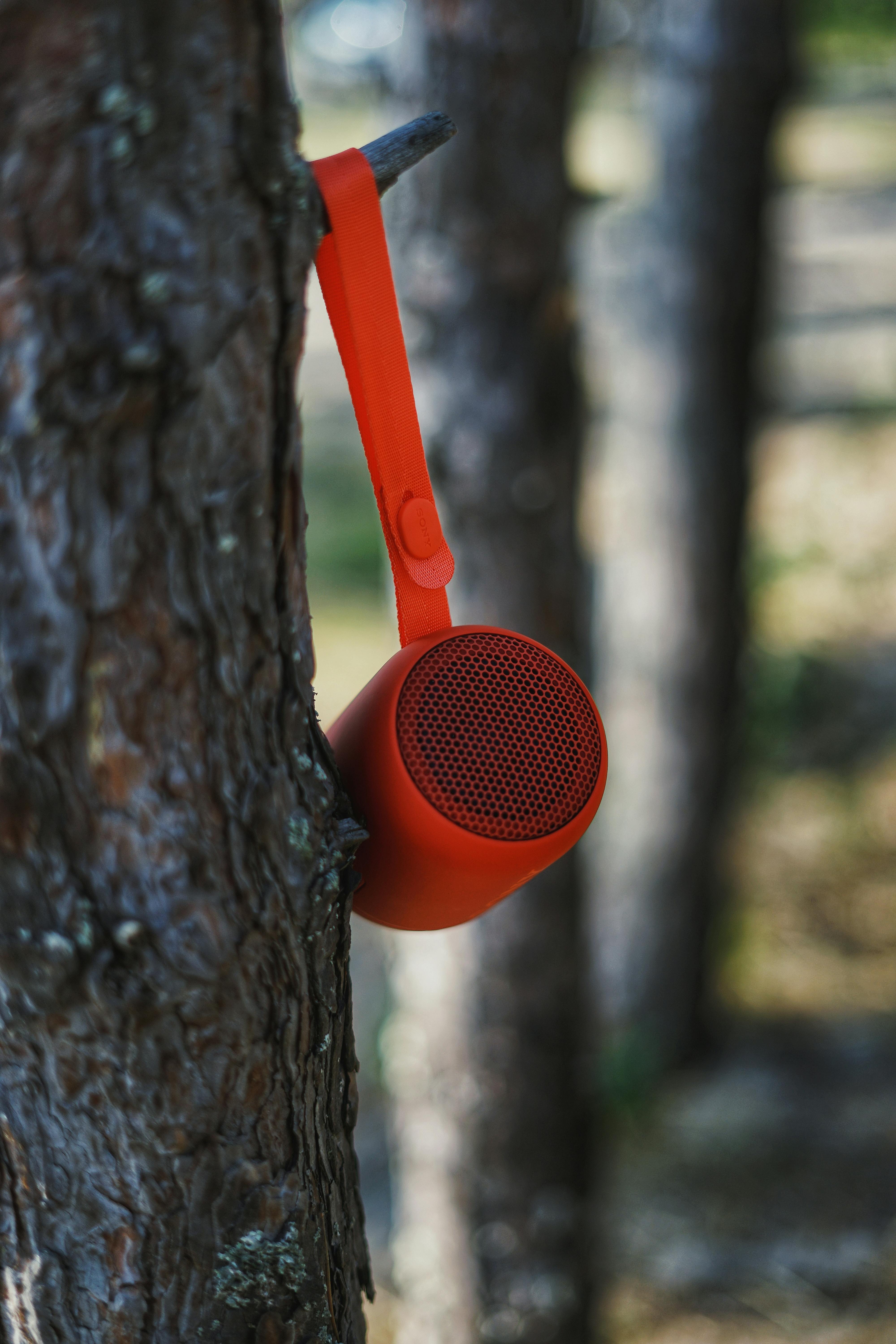 Bluetooth Speaker Hanging on Tree Trunk · Free Stock Photo
