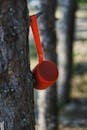 Bluetooth Speaker Hanging on Tree Trunk