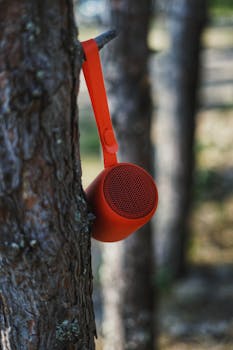 Red portable wireless speaker hanging on a tree trunk in a summer park setting.