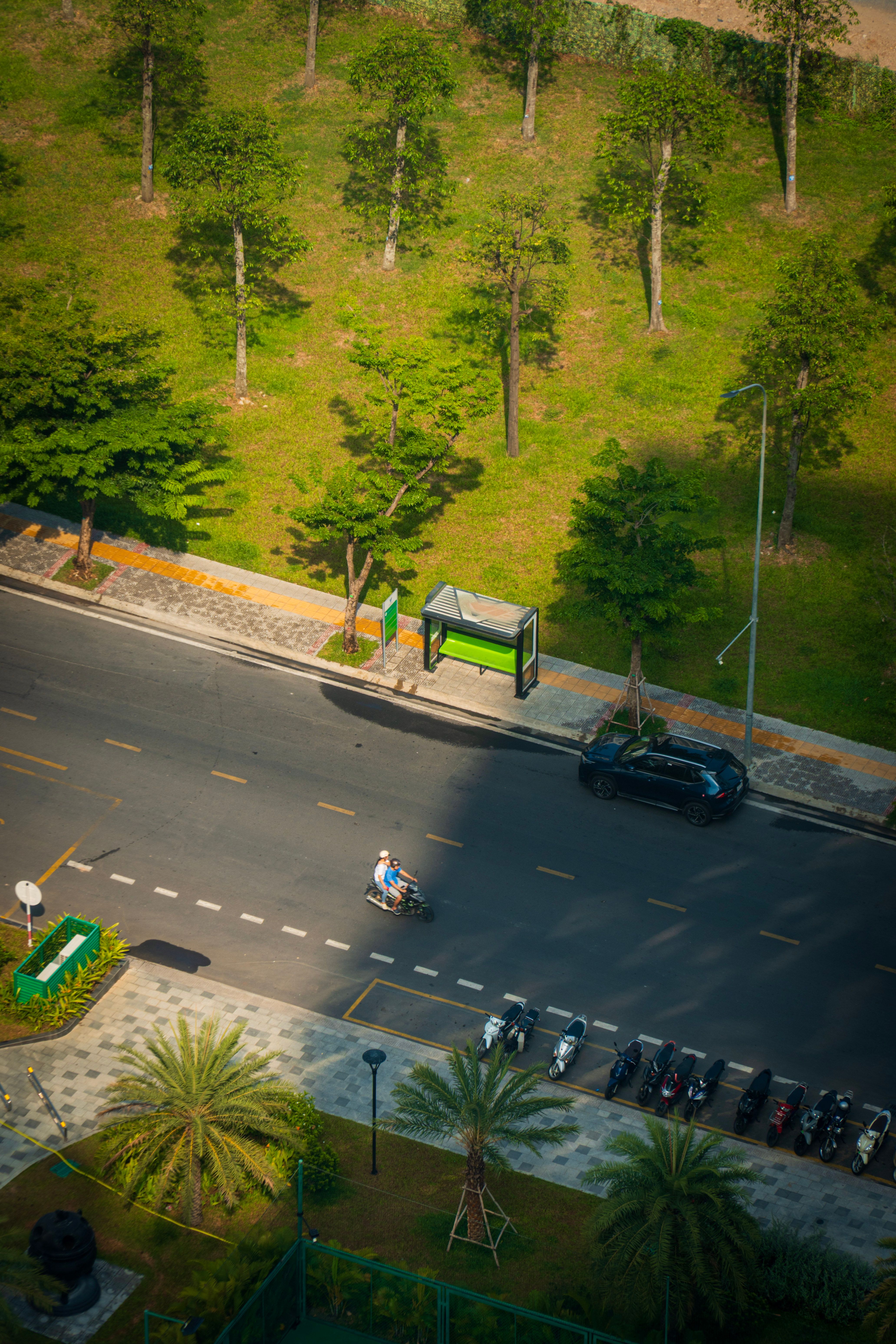 Overhead view of a tree-lined street with a motorcyclist, cars, and green park area in an urban setting.