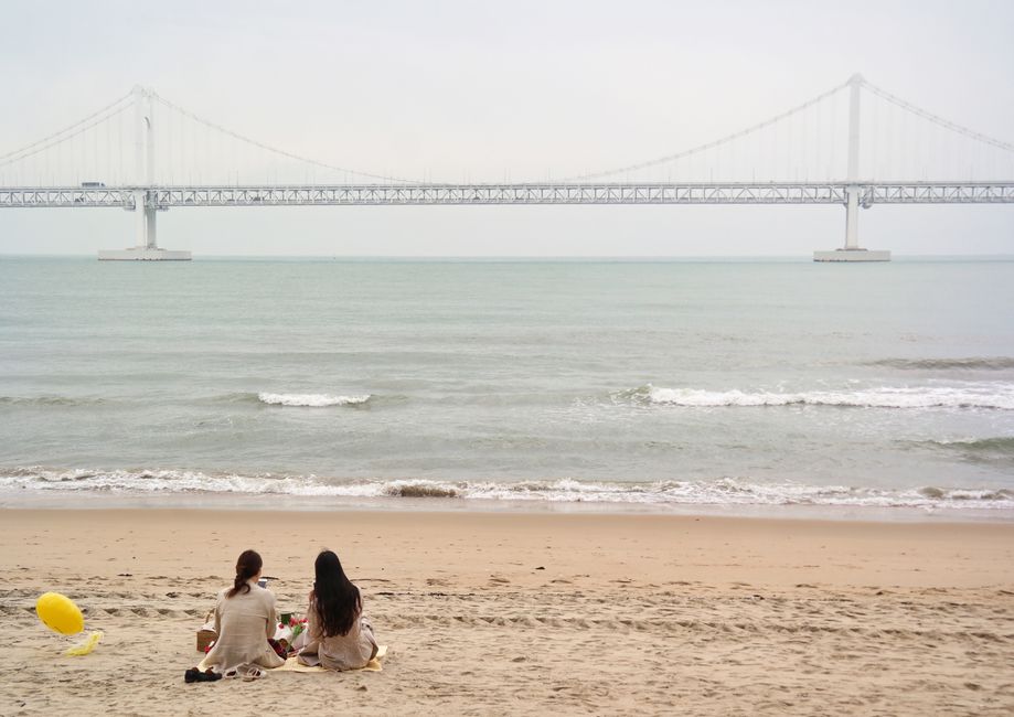 Surviving Gwangalli on a Shoestring: My Brutally Honest Guide to Cheap Eats & Budget Living in Busan
