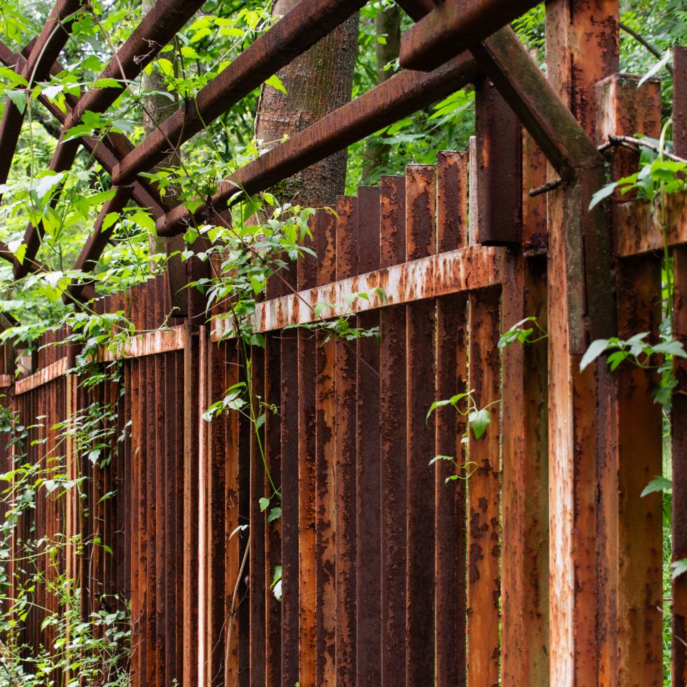 Fence and Decking Painting in Hammersmith — clean edges cut in around trim and sockets