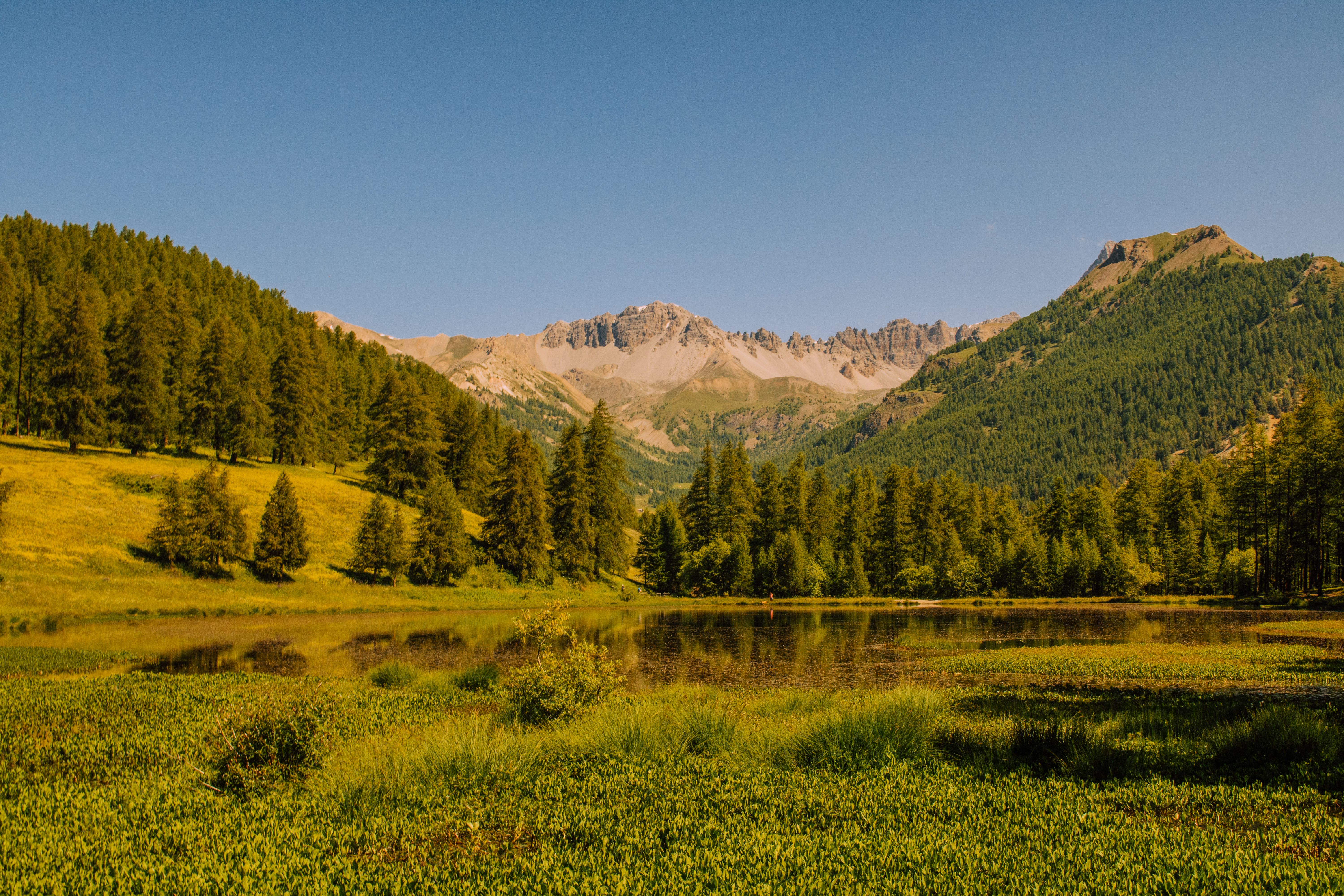 Terre d’Essènci 3