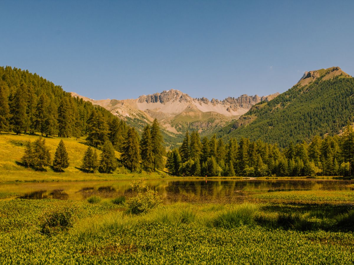 Terre d’Essènci 3