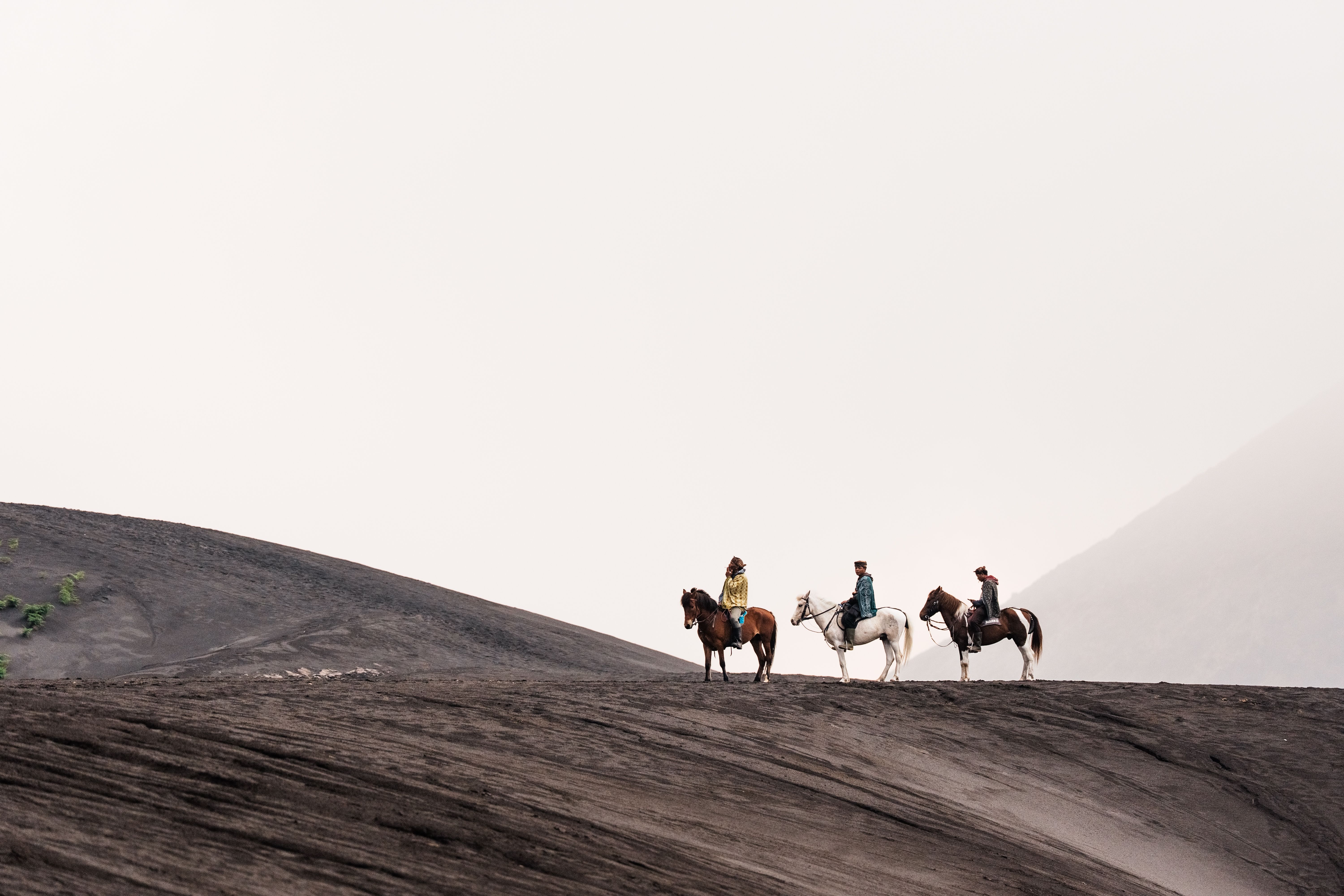 Équitation dans les Remarkables avec High Country Horses