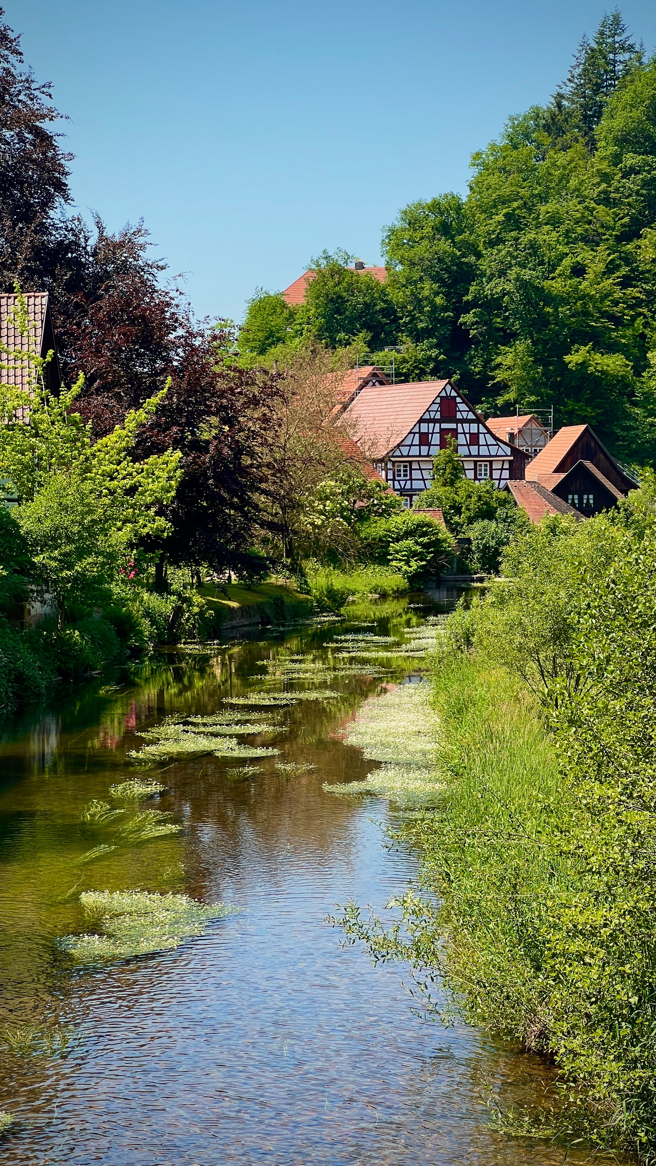 Impression aus Haarsbach