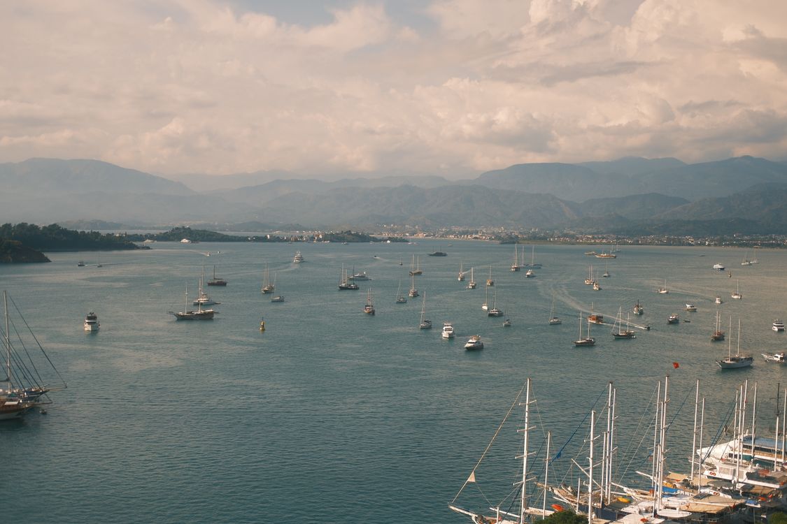 Aerial View of Boats in Calm Coastal Harbor · Free Stock Photo