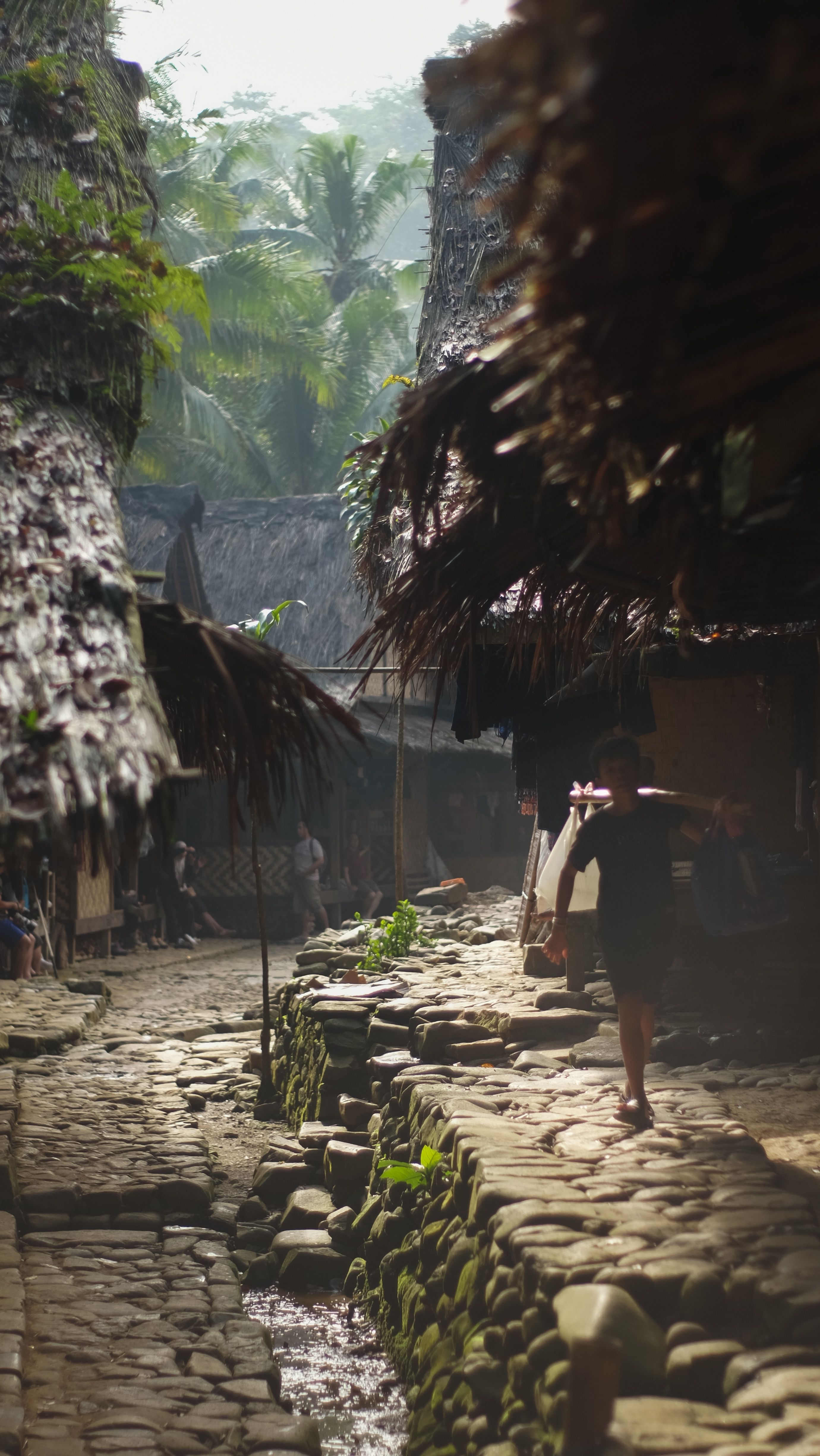 Scenic view of a traditional stone pathway in a rural village in Banten, Indonesia. Tropical greenery surrounds the rustic scene.