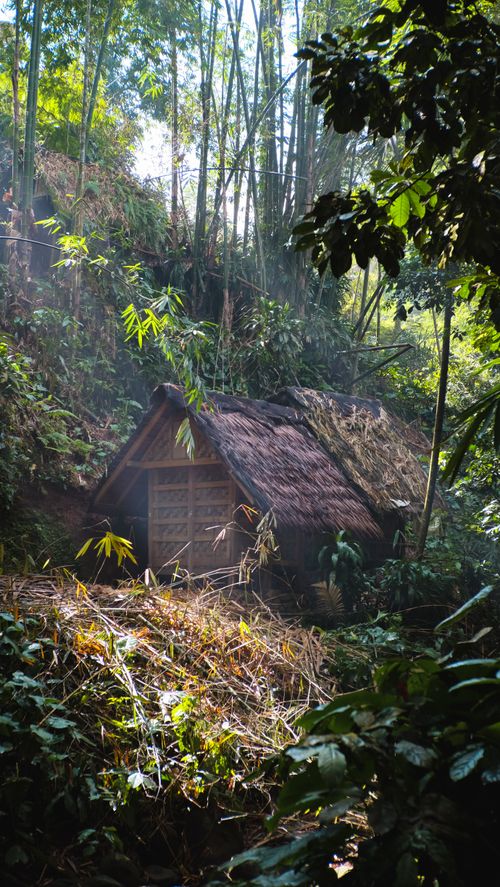 Free A serene bamboo hut amidst dense forest in Banten, Indonesia, capturing nature's tranquility. Stock Photo
