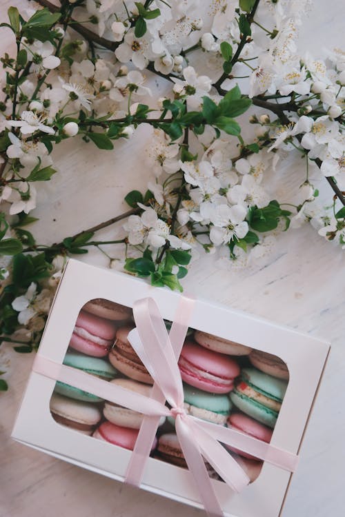 Boîte à Biscuits De Couleurs Assorties