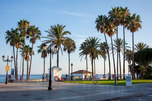Free Relaxing scene of palm trees by the sea in Marbella, Spain. Ideal for travel and lifestyle themes. Stock Photo