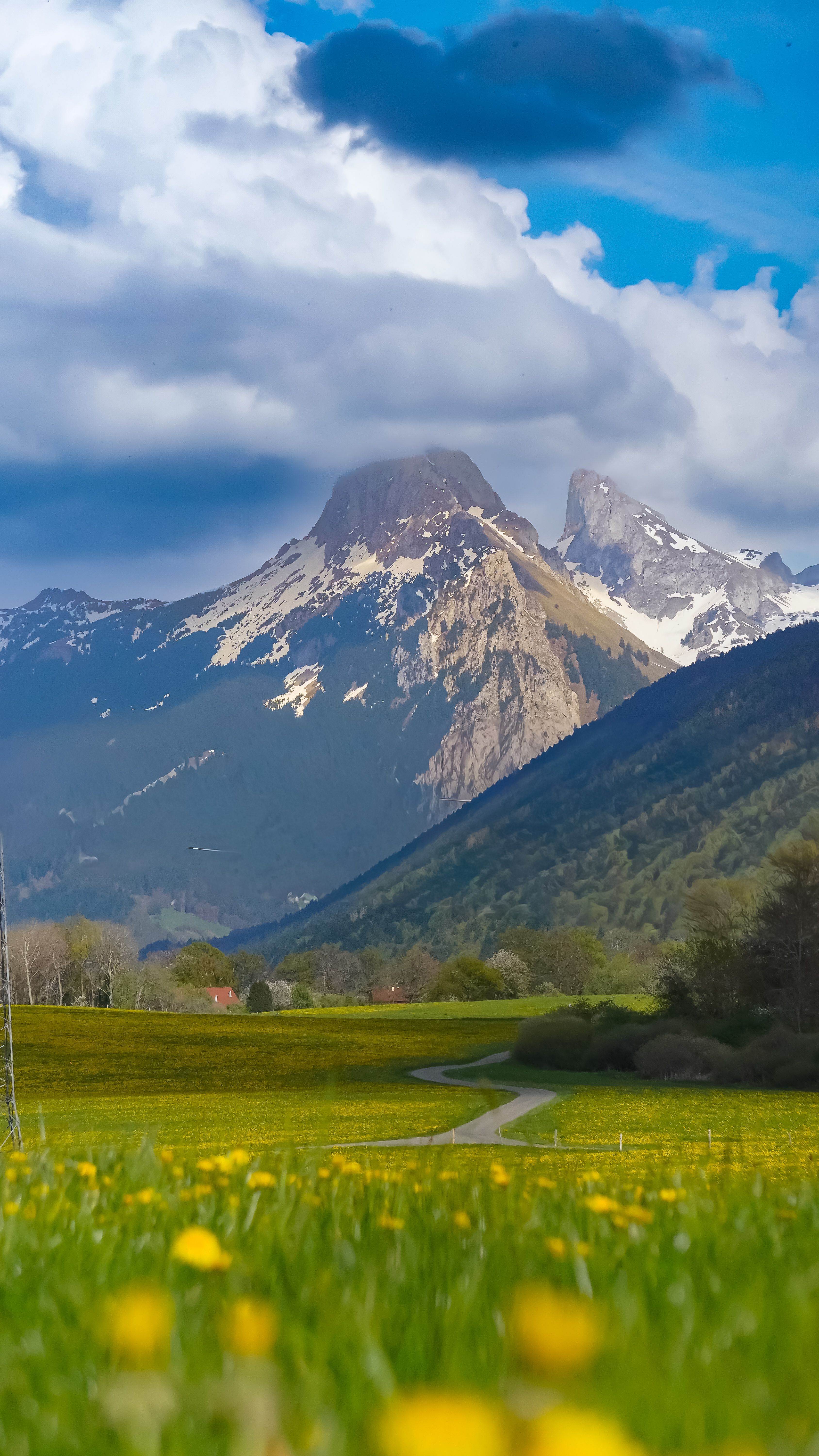 Breathtaking view of mountains and a lush green meadow with fluffy clouds overhead.