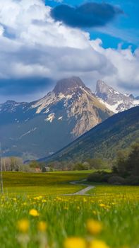 Breathtaking view of mountains and a lush green meadow with fluffy clouds overhead.