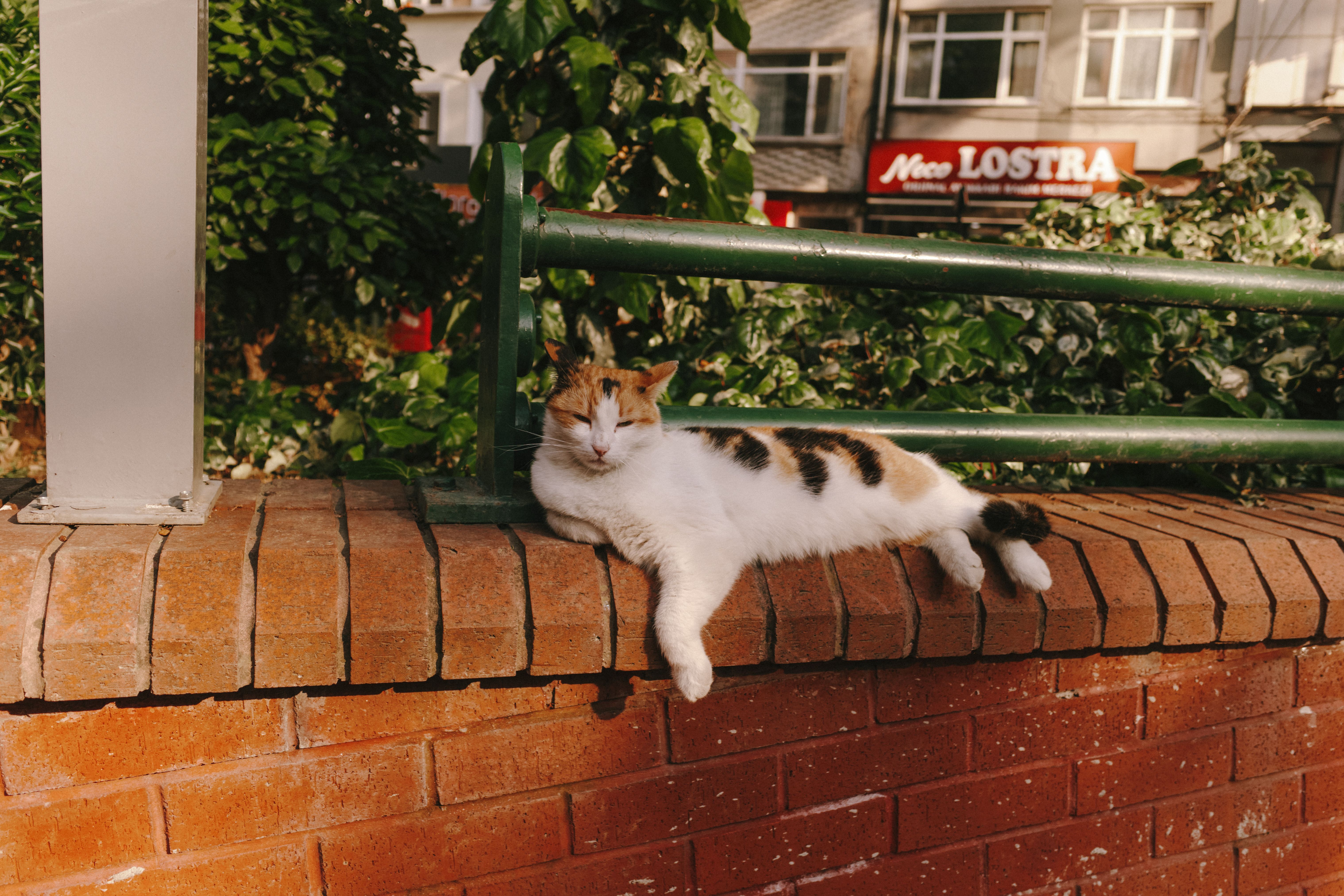 Cat costa un sistem de incalzire prin pardoseala