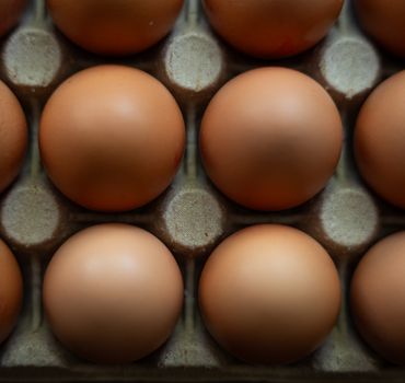 Top view of fresh brown eggs neatly arranged in a carton, showcasing natural food texture.