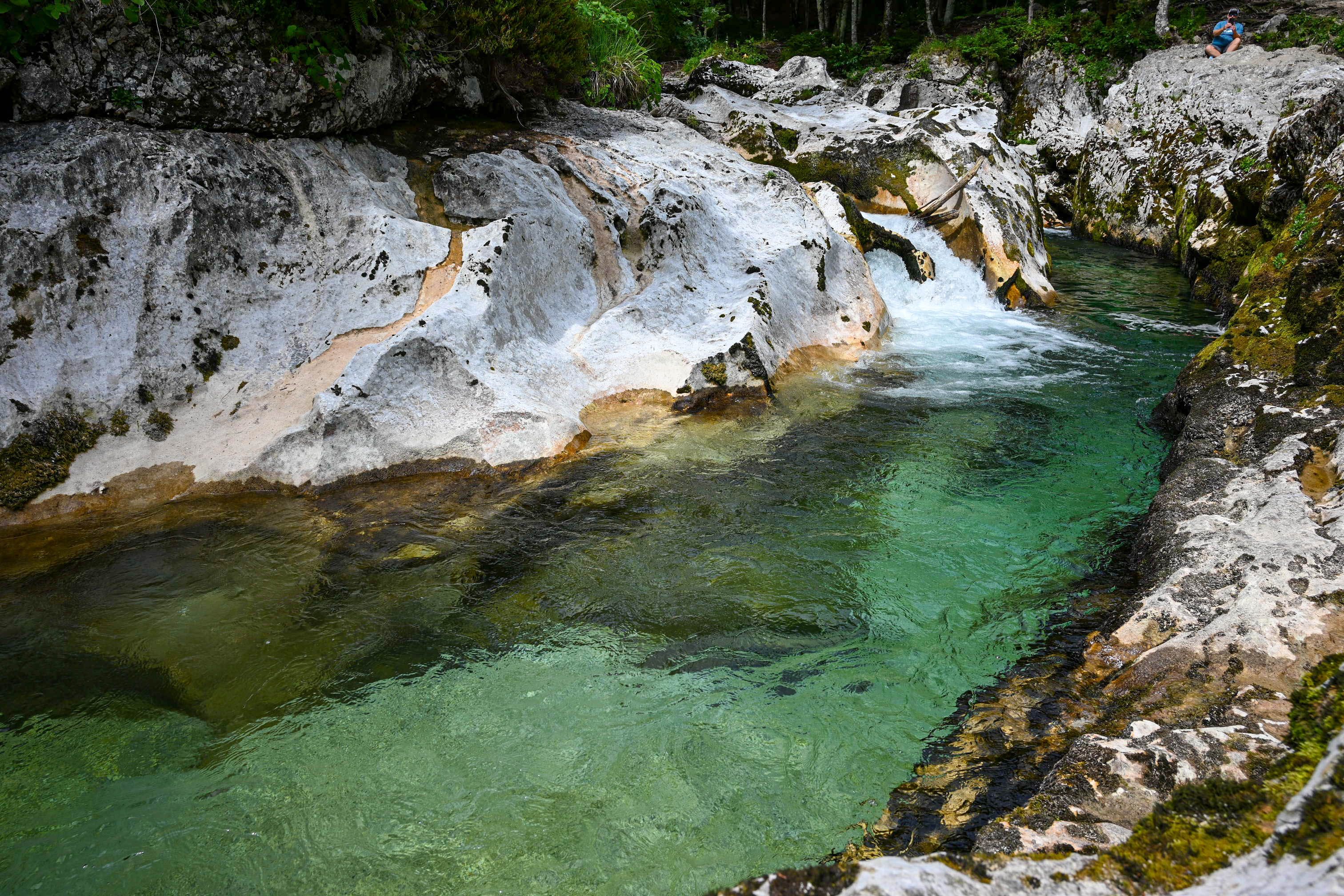 Kristallklarer Bergbach in unberührter Natur