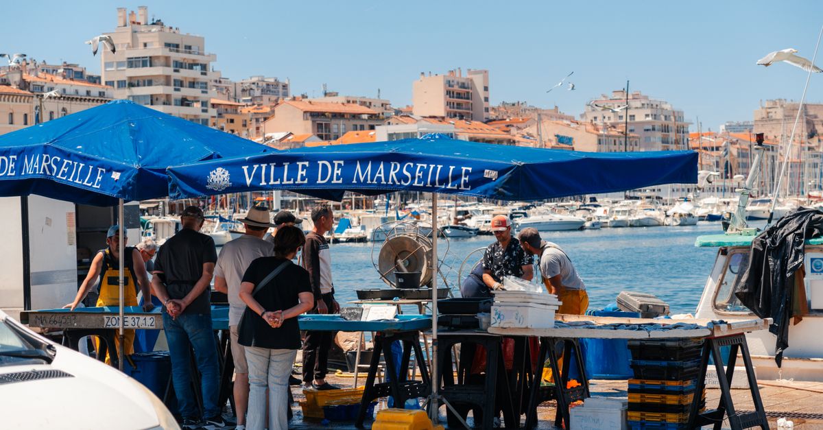 Les Meilleures Techniques pour Choisir un Poisson Frais