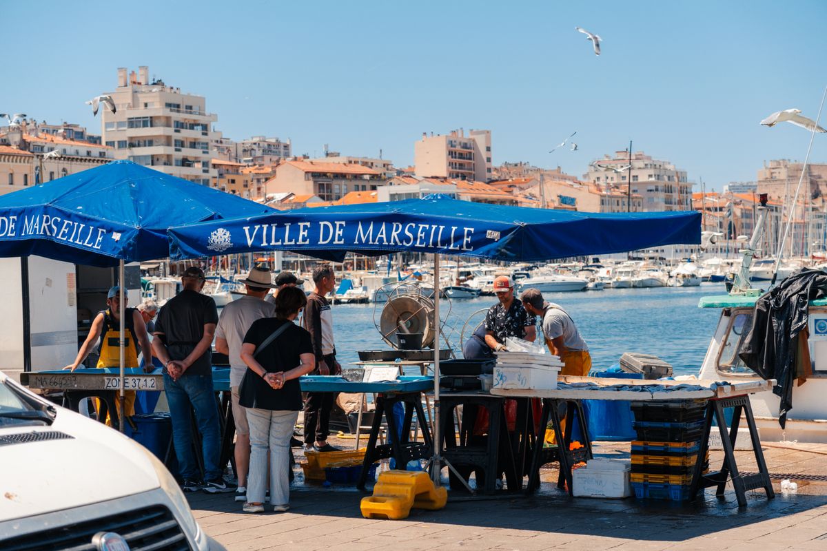 man with a van in Rosewell — Loaded properly: blankets, straps and a plan in Rosewell