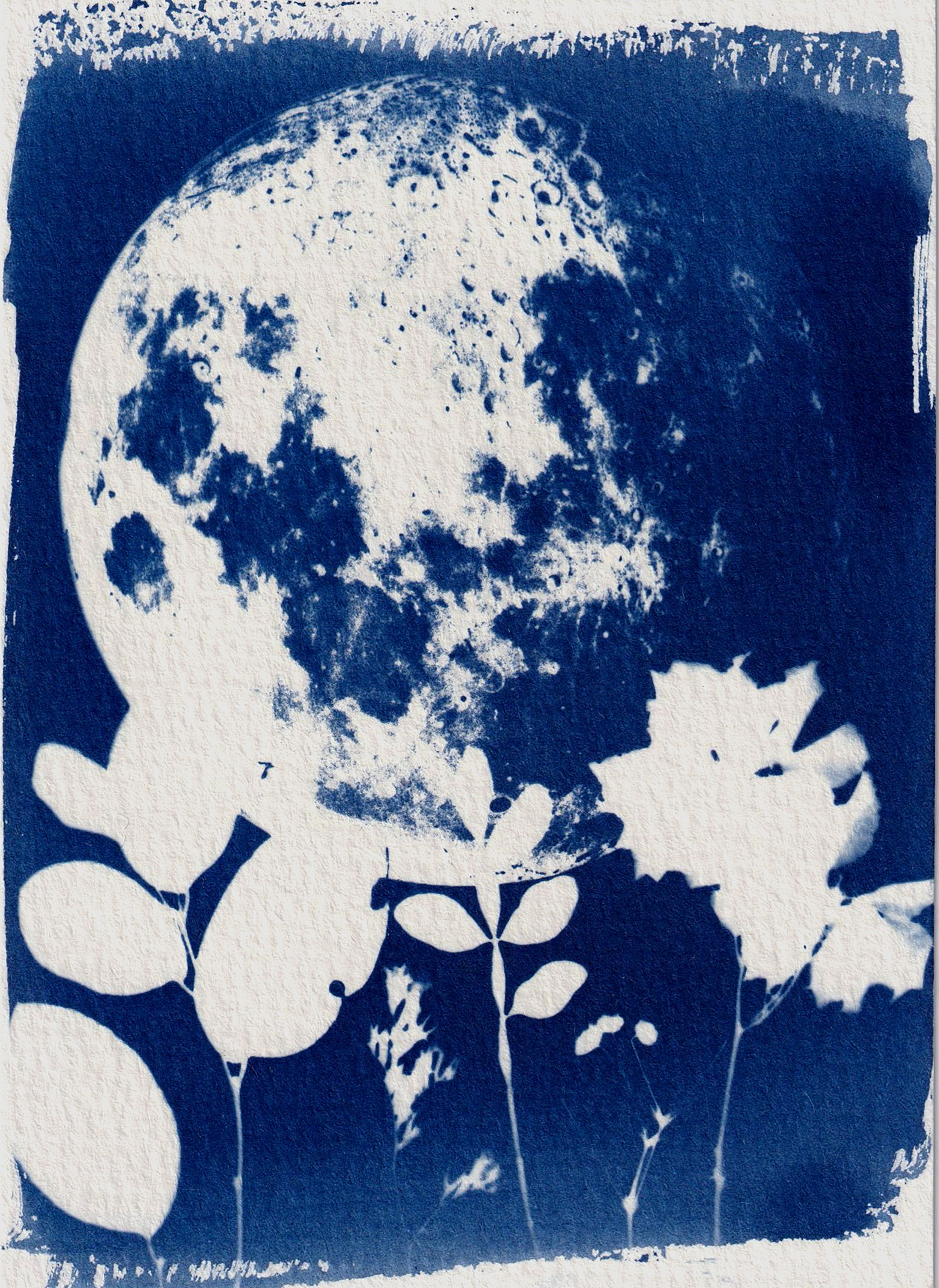 Artistic cyanotype featuring the moon with floral silhouettes in blue hues.