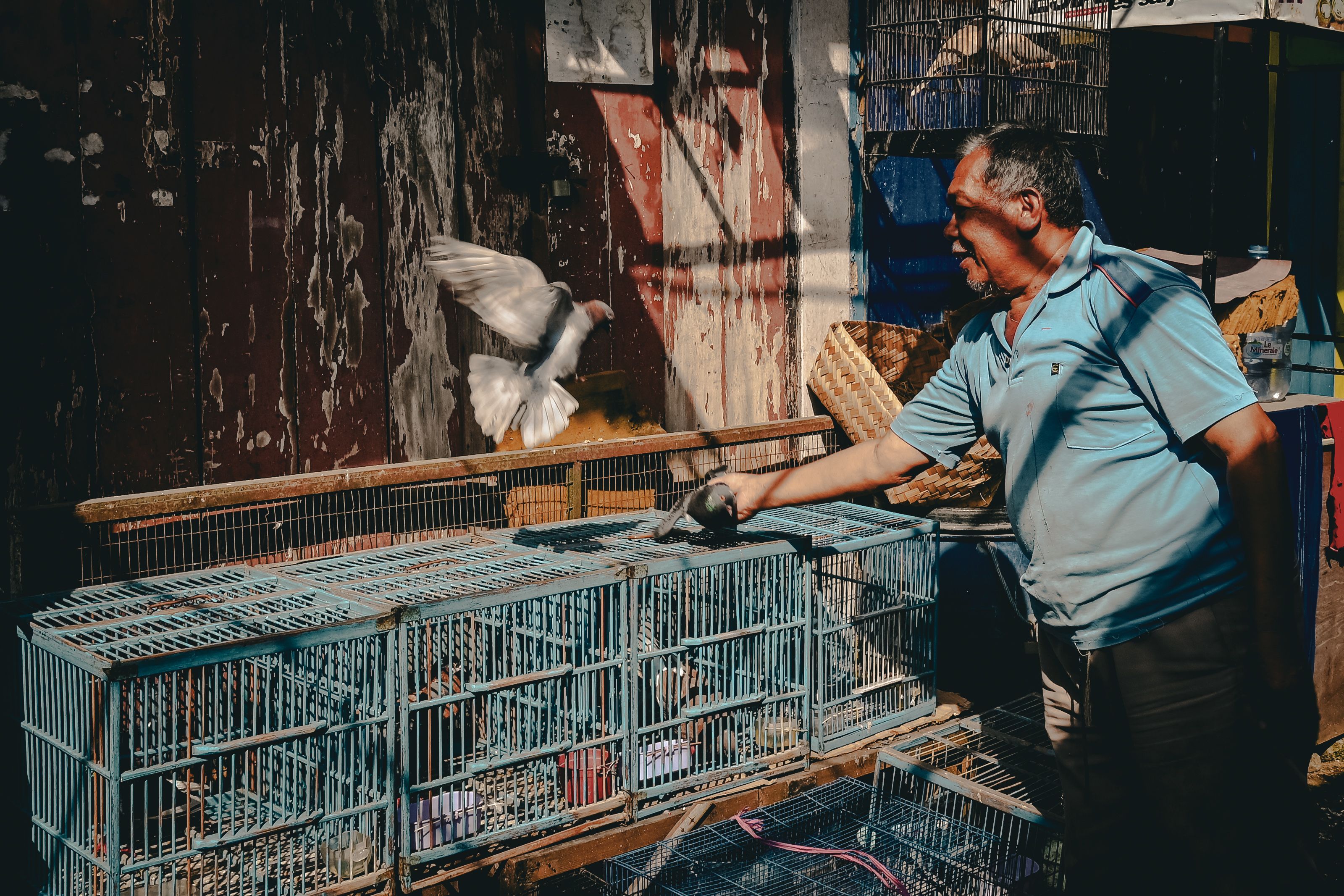 A man releasing a pigeon from a cage in a traditional market in Jawa Barat, Indonesia.