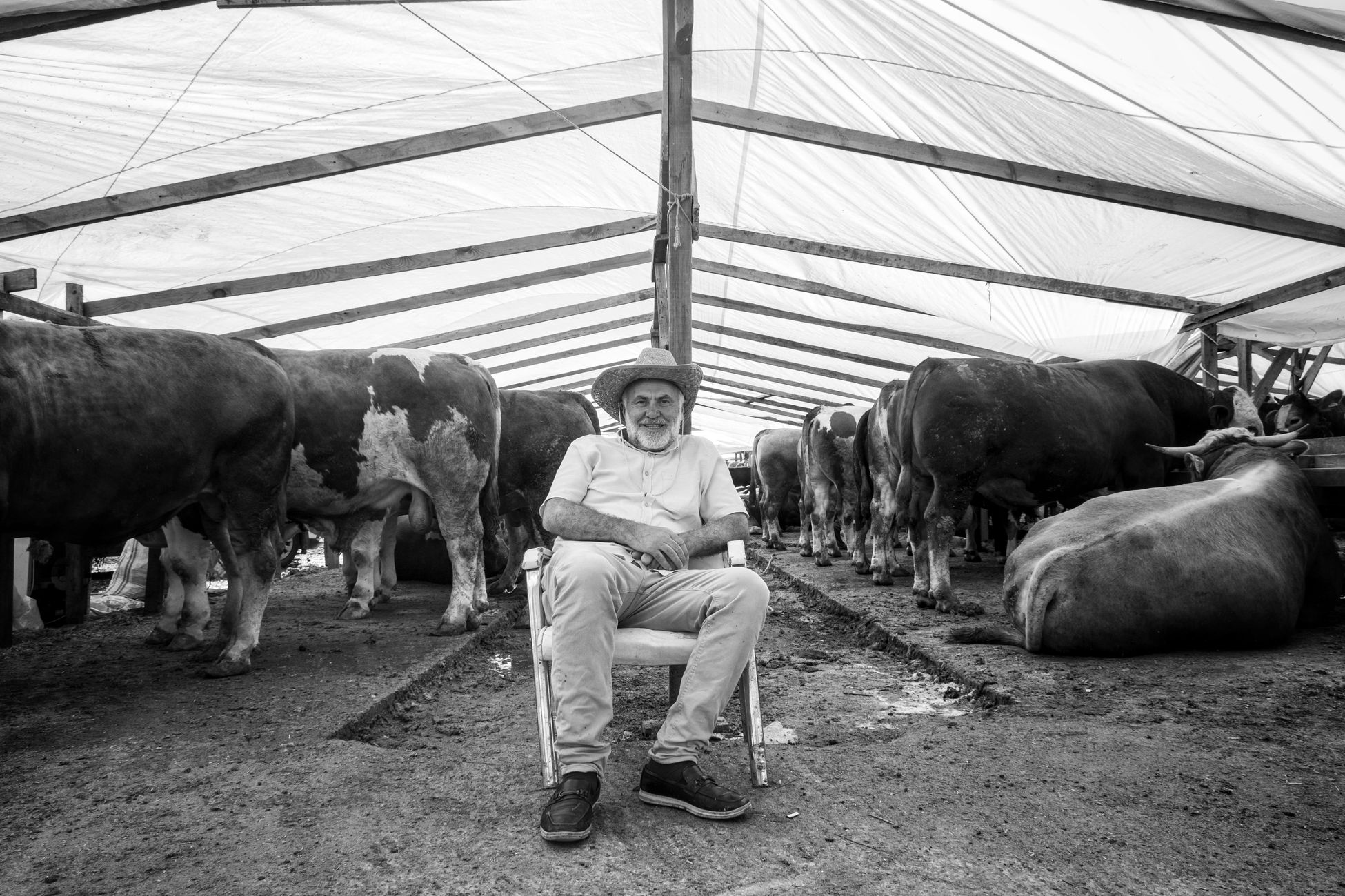 Argentine beef exports to U.S. surge on higher tariff quota