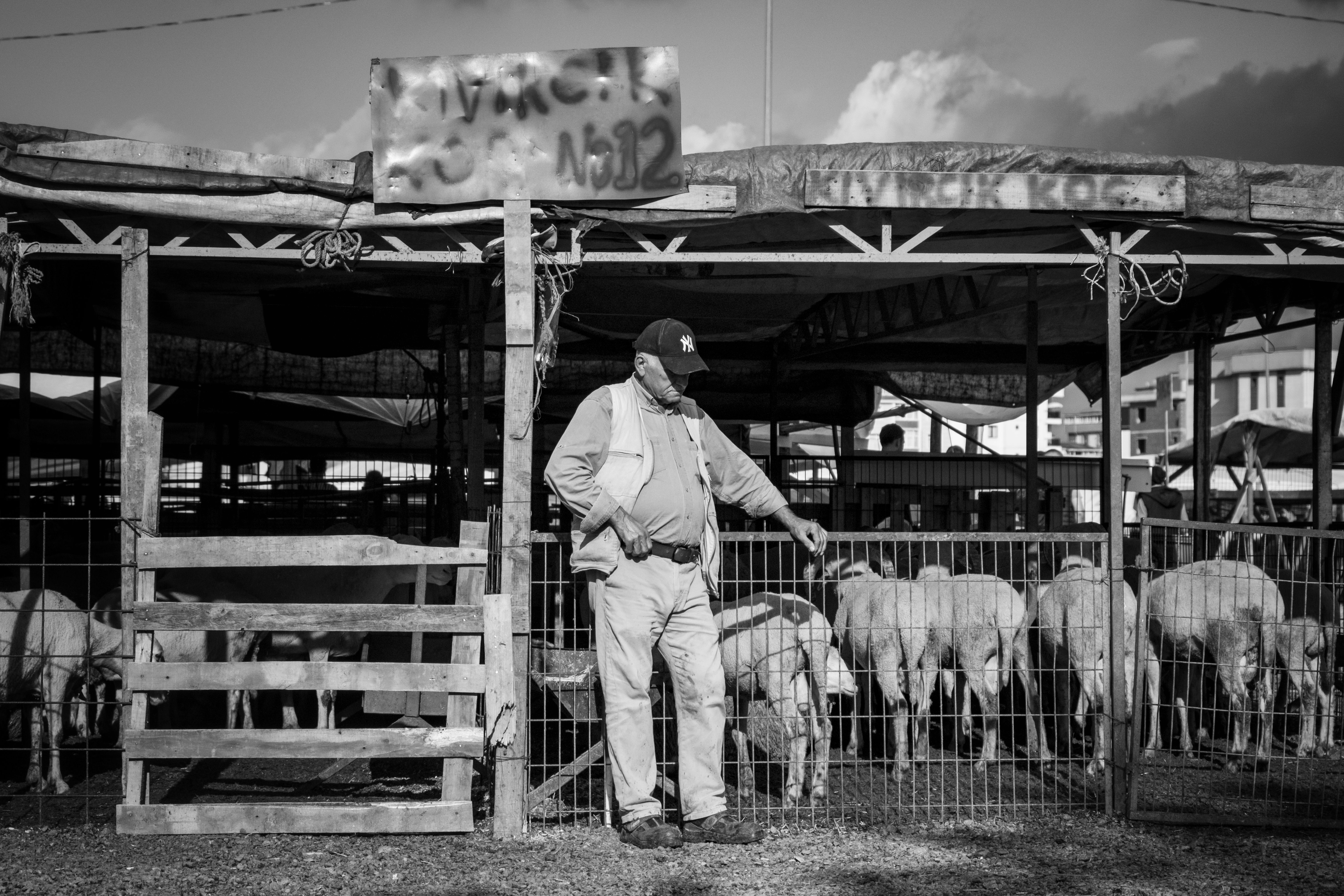 Farmers Business Insurance Review 2026: Nothing Special for Business Owners — Photo by Soner Arkan on Pexels