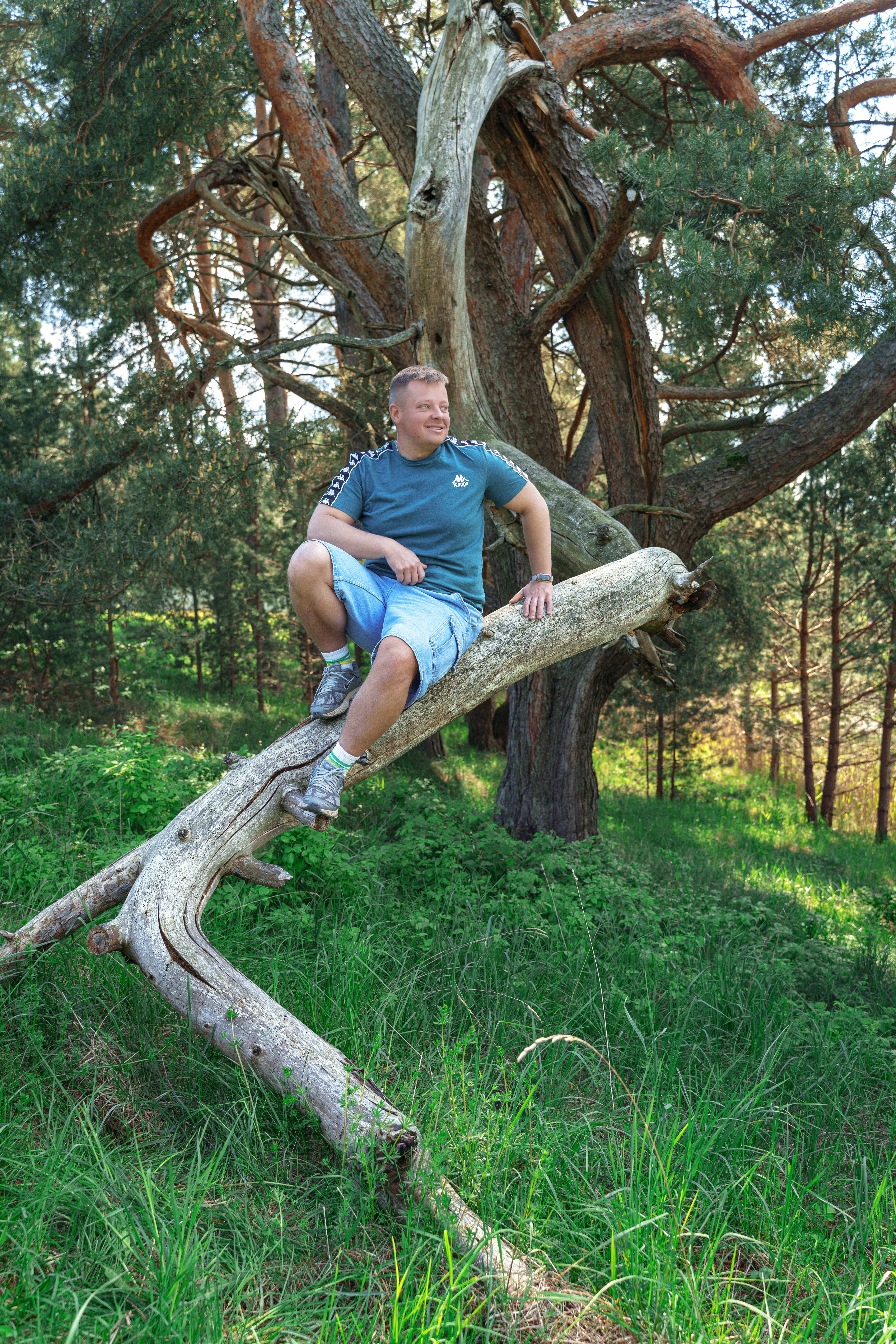 Casually dressed man enjoying a sunny day sitting on a tree branch in a lush green forest.