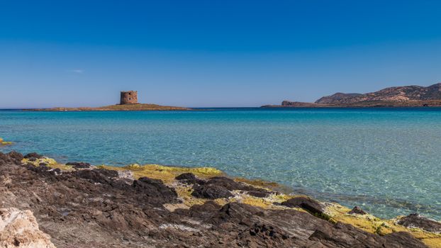 Nuraghe Su Nuraxi with archaeologist — Sardinia