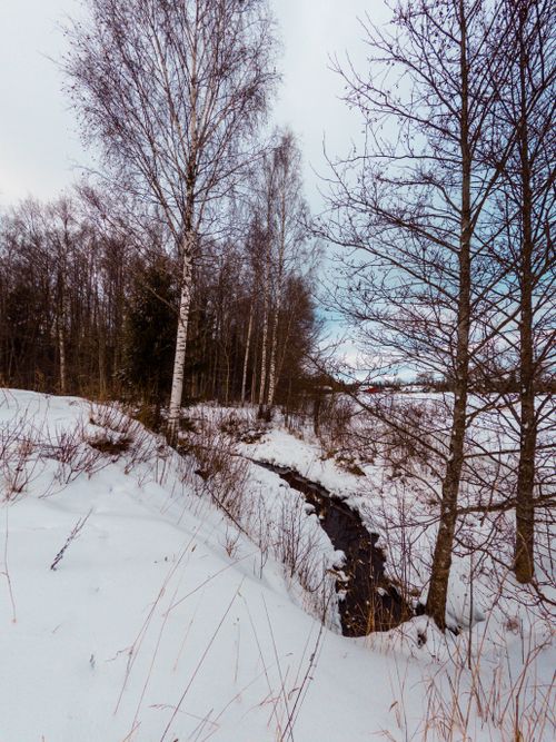 Free A serene snowy landscape featuring a gentle stream and bare trees in winter. Stock Photo