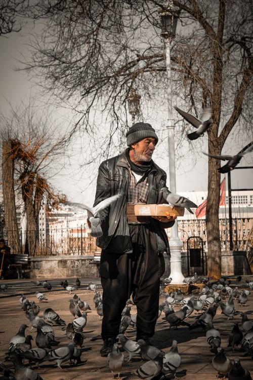 Free Elderly man wearing a beanie feeds pigeons in a park in Gaziantep, Türkiye. Stock Photo