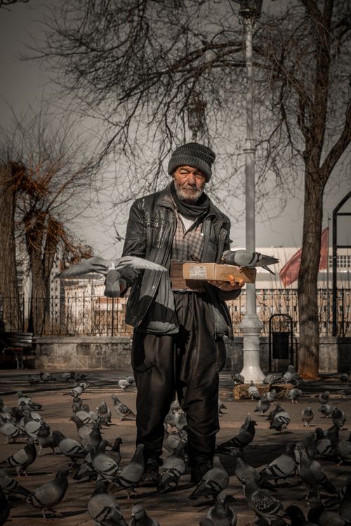 Free An elderly man feeds pigeons in a Gaziantep park on a cool, outdoor day. Captured in a candid street photography style. Stock Photo