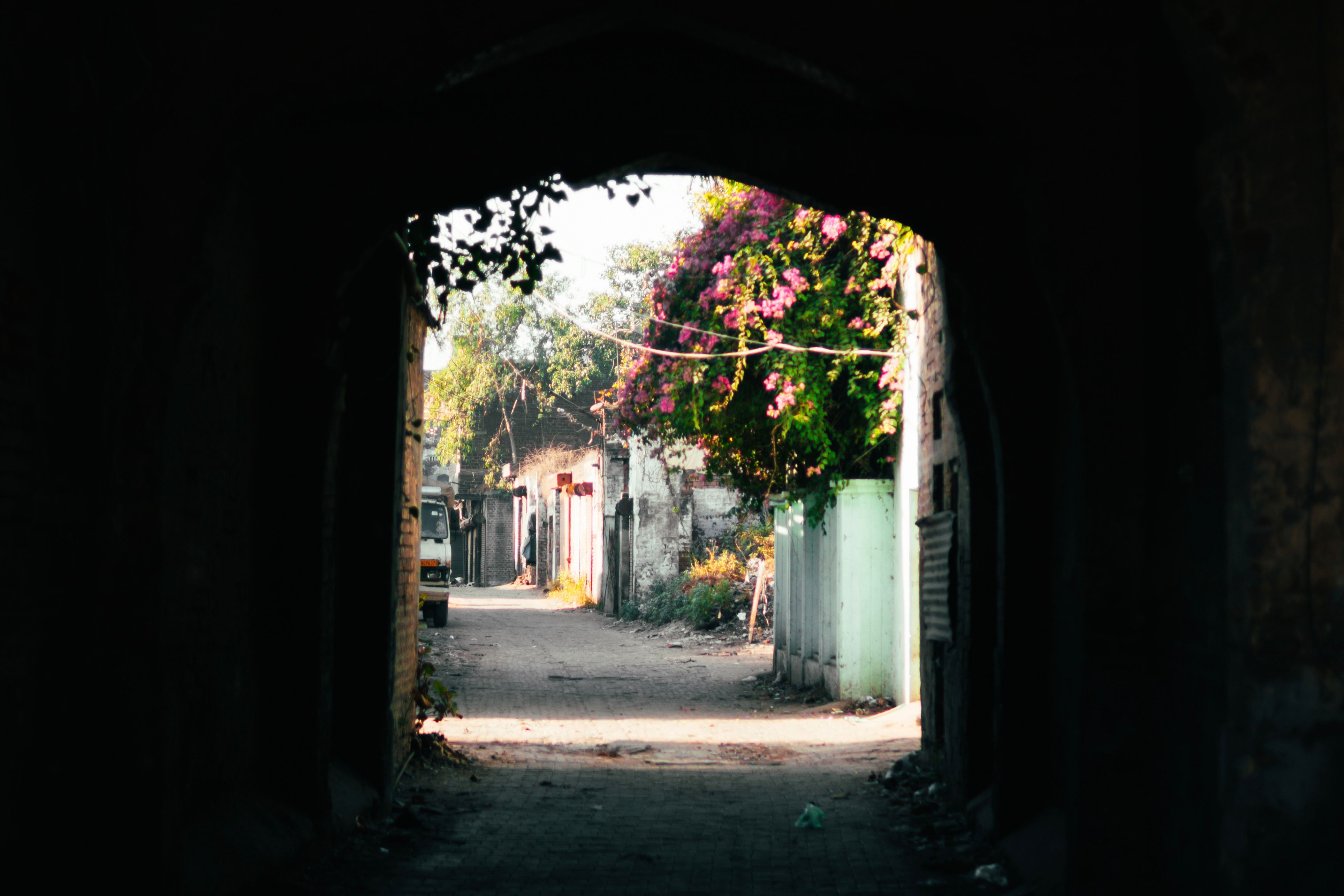 Aam Khas Bagh