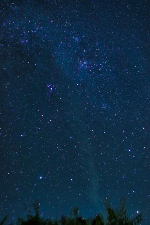 Stunning Night Sky Filled with Twinkling Stars · Free Stock Photo
