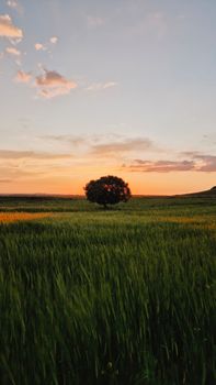 Image by Cafer SEVİNÇ