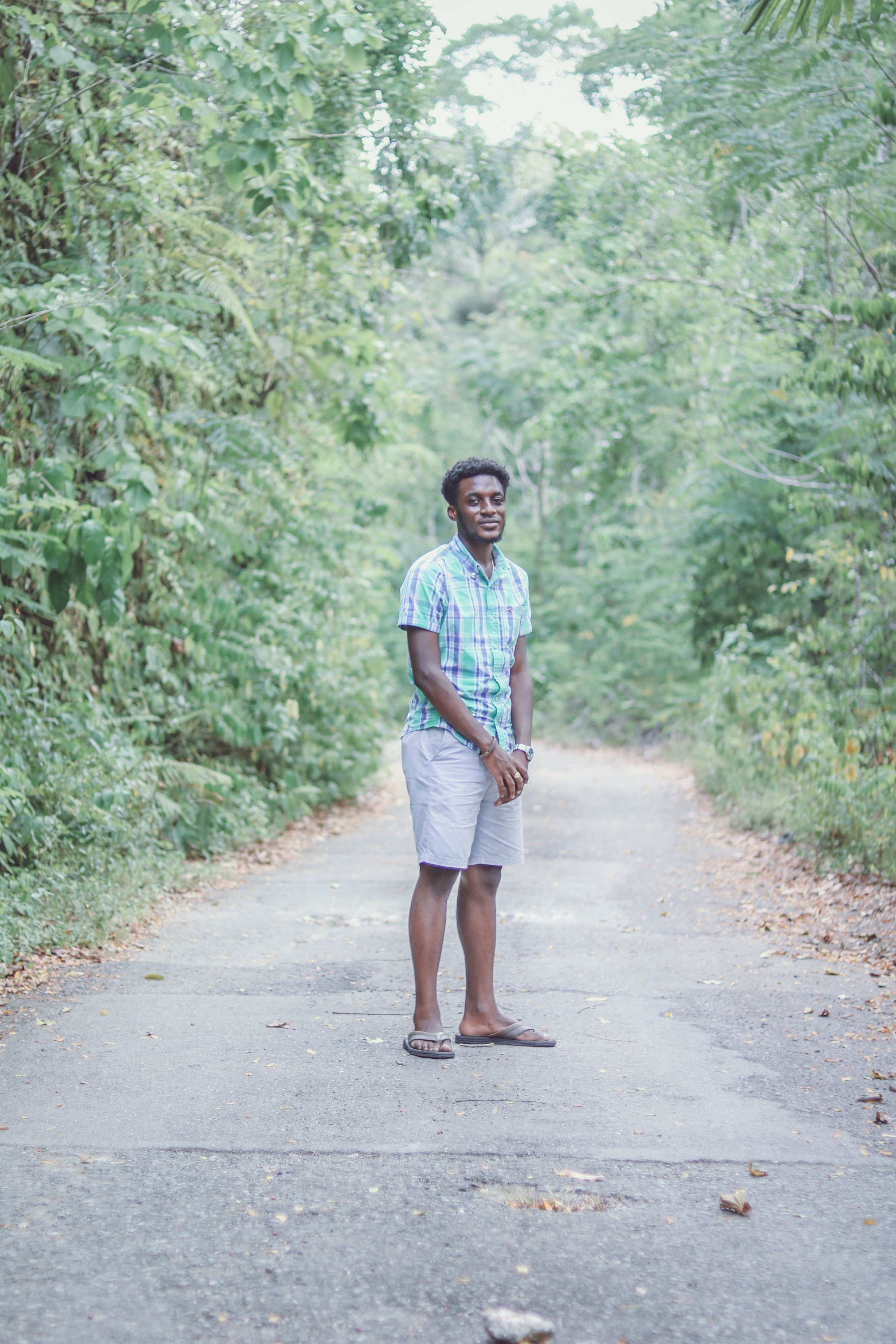 A Man Standing on Pathway Between Tall Trees · Free Stock Photo
