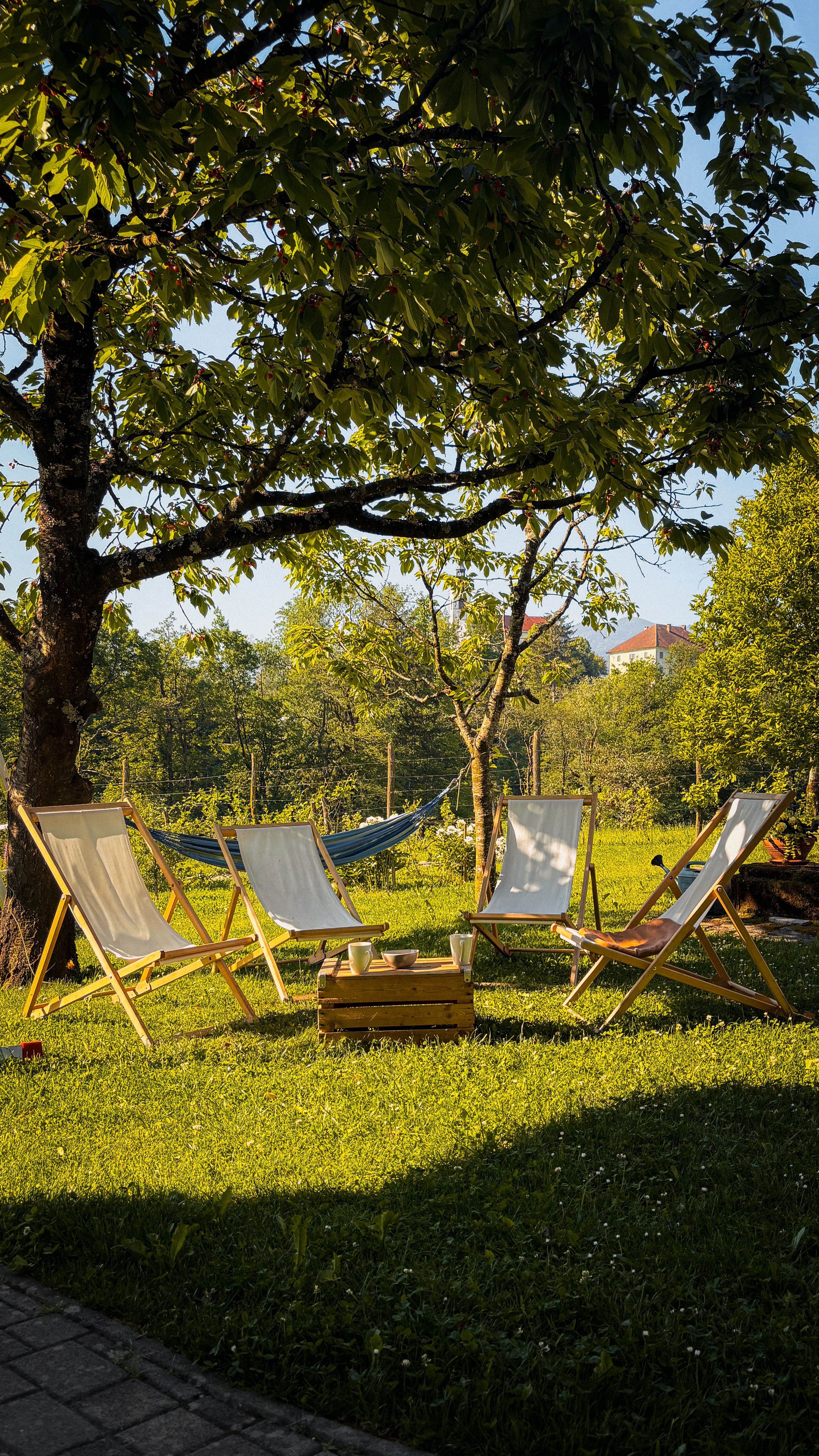 Inviting garden seating area with deck chairs under a tree, perfect for relaxation.